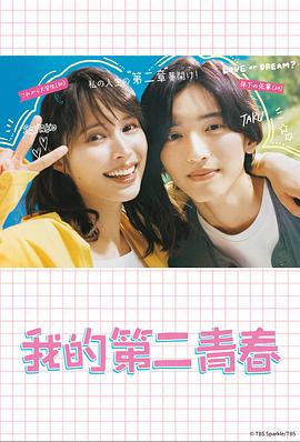 宝安seo优化多少钱